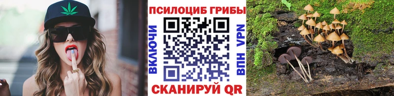 Галлюциногенные грибы ЛСД  blacksprut рабочий сайт  Шацк 